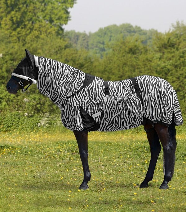 Ekzemdecke Zebra