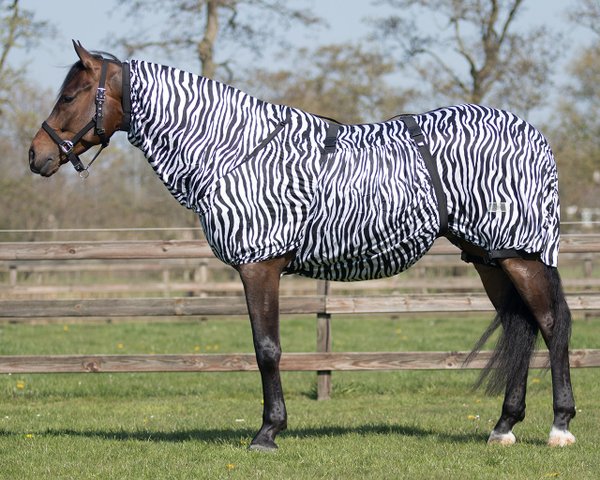 QHP Ekzemdecke Zebra