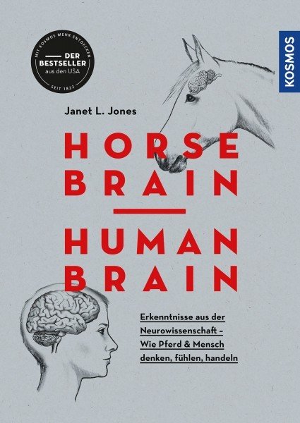 "Horse Brain - Human Brain"